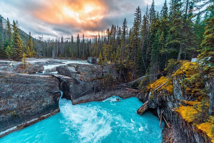 8 Iconic Stops. 12 Comfy Seats. See Banff's Best in First Class.