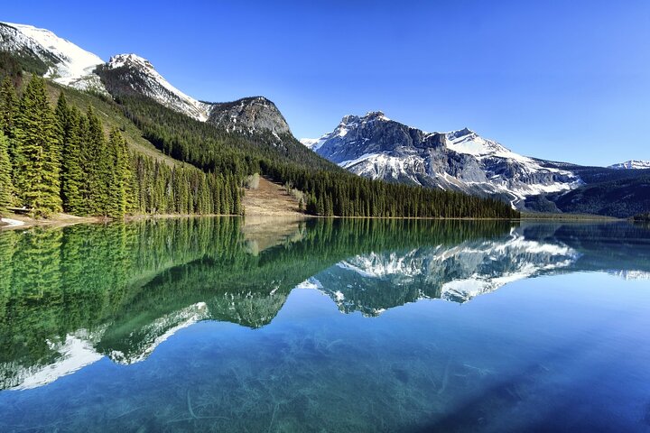 8 Iconic Stops. 12 Comfy Seats. See Banff's Best in First Class.