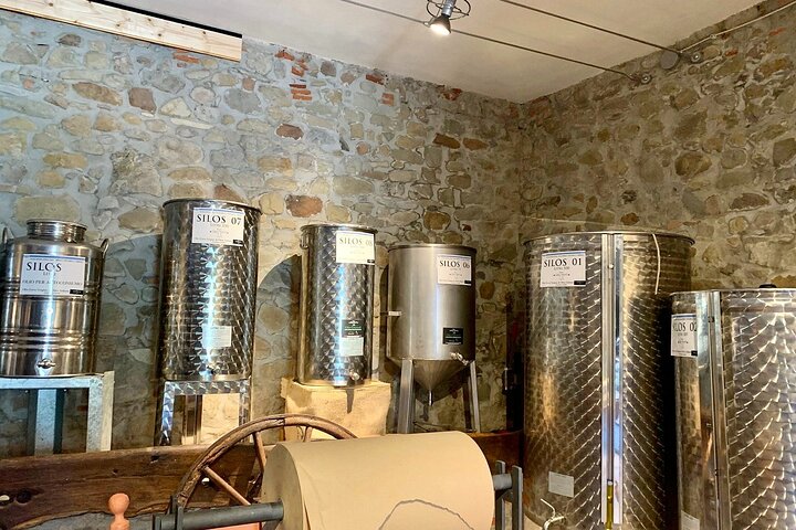 Guided tours of the olive grove with oil tasting.