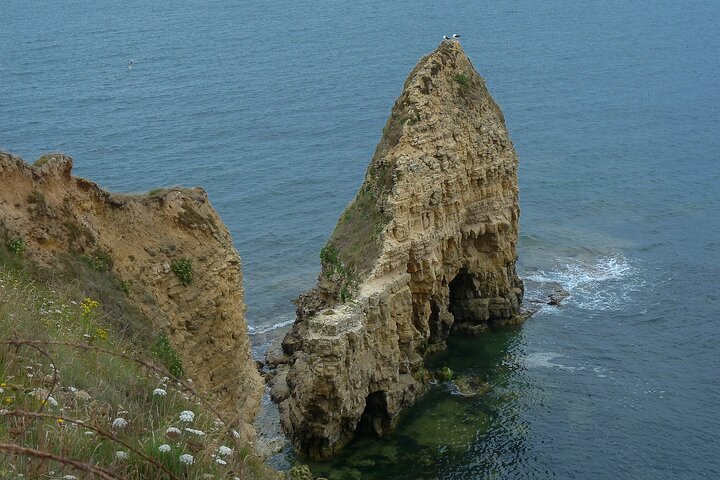 Private Full day landing beaches tour From Honfleur and Le Havre
