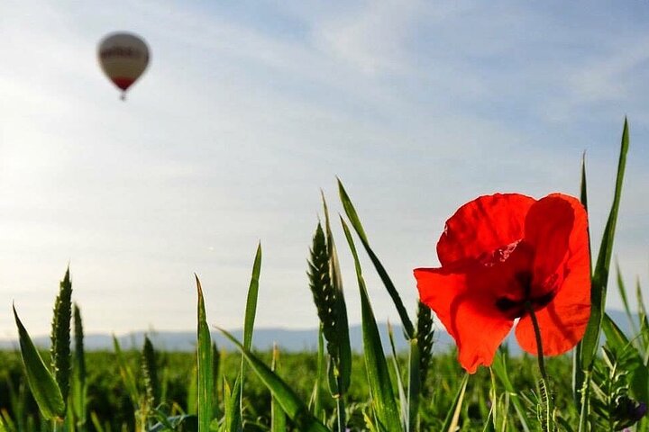 Balloon Trip in Aranjuez with Brunch Included