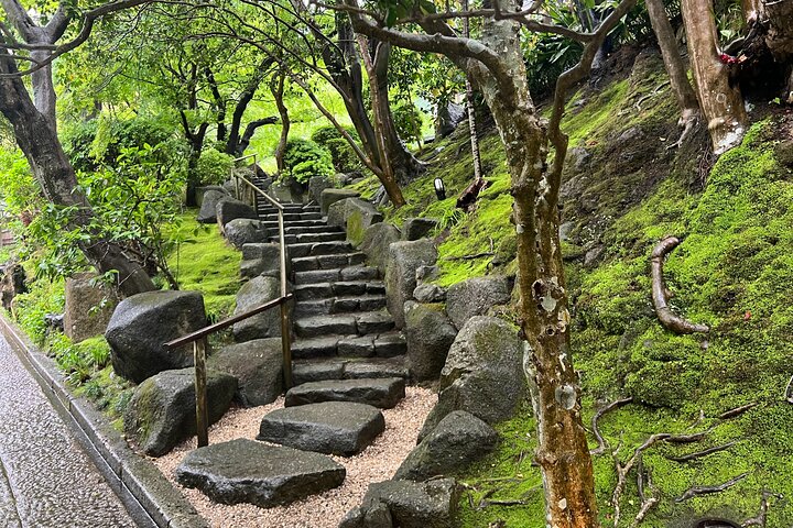 Day Trip Kamakura from Tokyo with National Licensed Guide