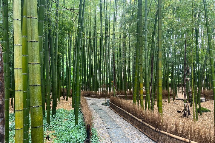 Day Trip Kamakura from Tokyo with National Licensed Guide