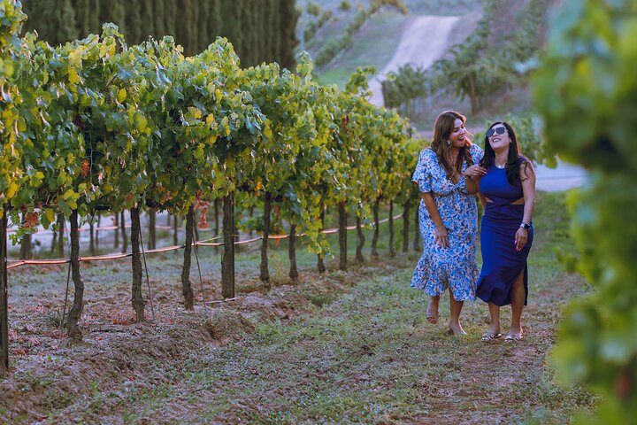 All Inclusive Temecula Wine Tour - Tastings, Lunch, Hotel Pickup