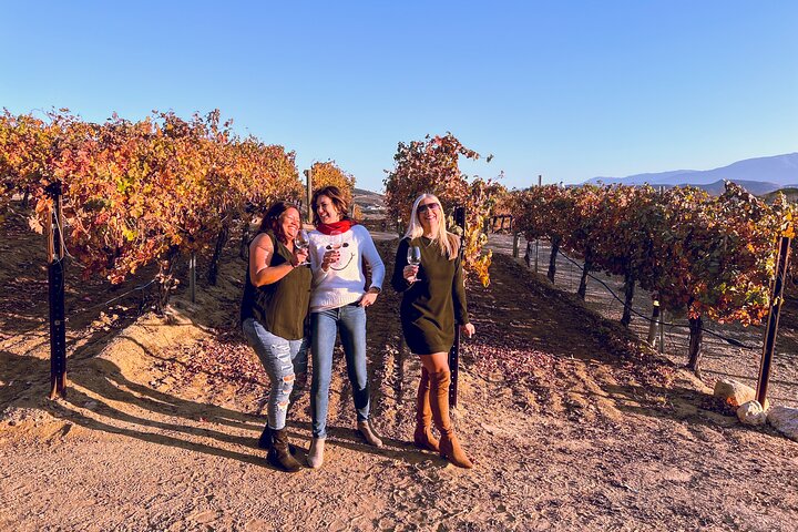 All Inclusive Temecula Wine Tour - Tastings, Lunch, Hotel Pickup