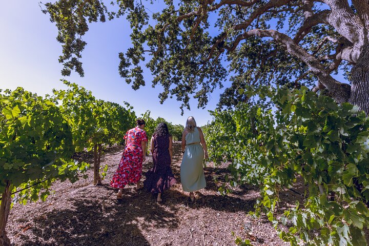 All Inclusive Temecula Wine Tour - Tastings, Lunch, Hotel Pickup