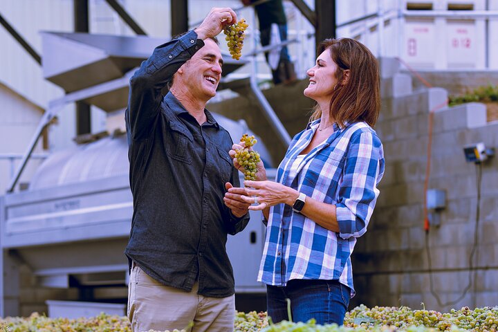 All Inclusive Temecula Wine Tour - Tastings, Lunch, Hotel Pickup