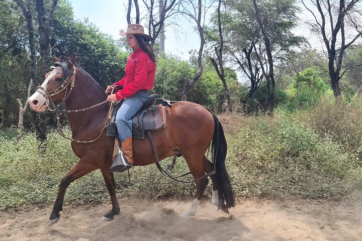 4-Hours Horse riding, Inca pyramids in world's largest dry forest