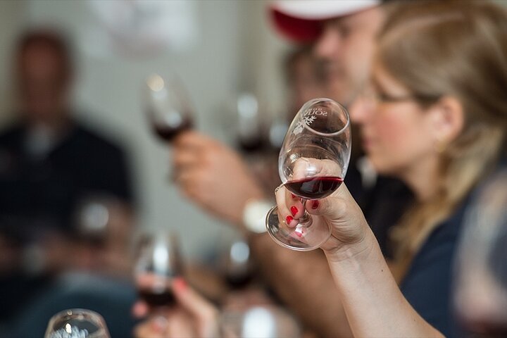 Private Full Day Wine Tour in Provence from Toulon Cruise Port