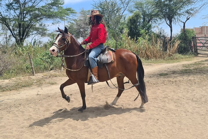 4-Hours Horse riding, Inca pyramids in world's largest dry forest