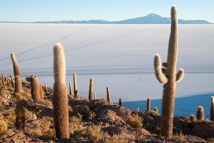 Uyuni Salt Flats Full Day Tour with Sunset