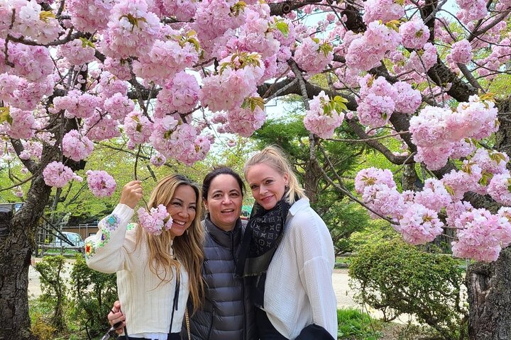Hirosaki Customized Half-Day Tour with Licensed Local Guide
