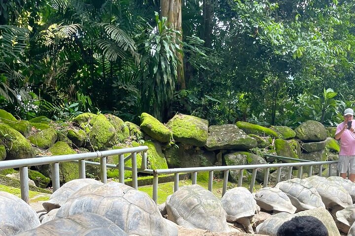 Omnibus service in Seychelles