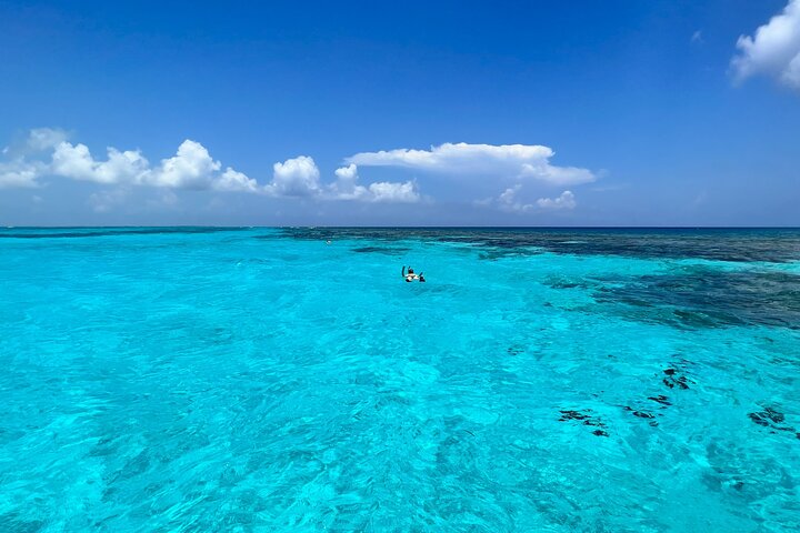 Cayman Private Luxury Charters - Stingray City, Snorkel, & More