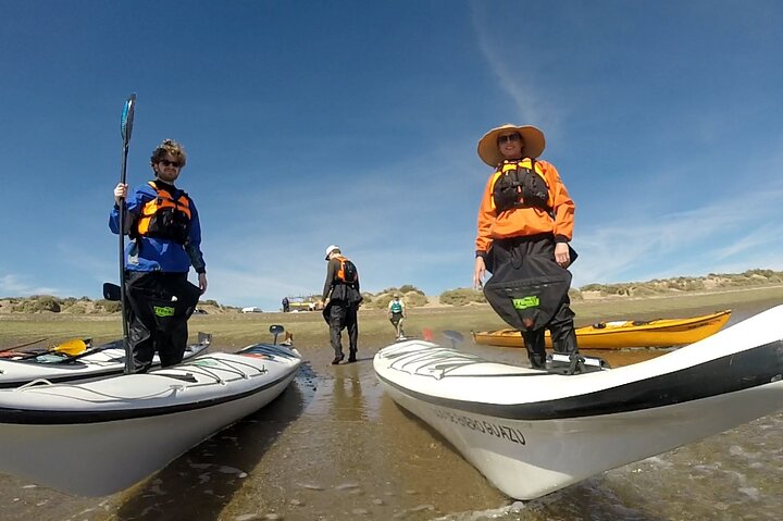 Kayak Paddling Experience with Sea Lions in Puerto Madryn