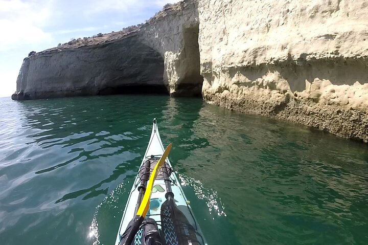 Kayak Paddling Experience with Sea Lions in Puerto Madryn