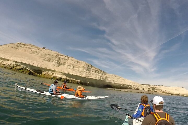 Kayak Paddling Experience with Sea Lions in Puerto Madryn