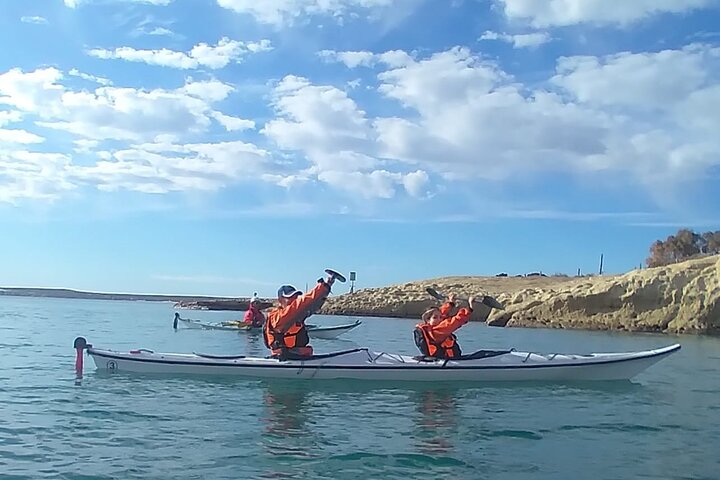 Kayak Paddling Experience with Sea Lions in Puerto Madryn