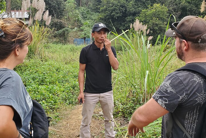 Tribal Cooking Class in Luang Prabang Forest and visit
