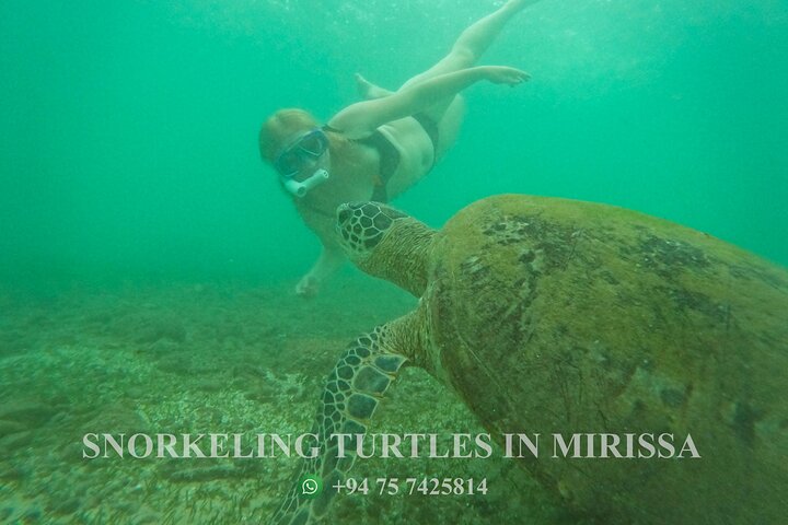 Snorkeling with Turtles in Mirissa
