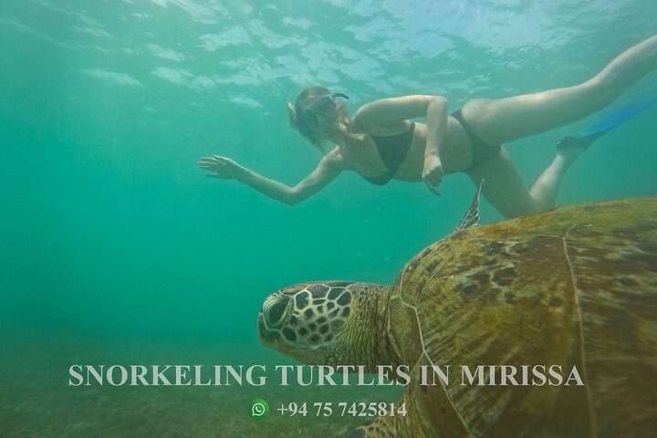 Snorkeling with Turtles in Mirissa