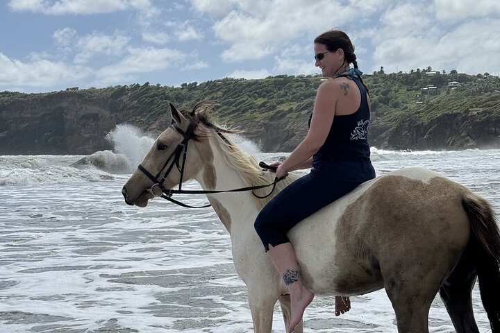 East Coast Horseback Riding & Waterfall Excursion
