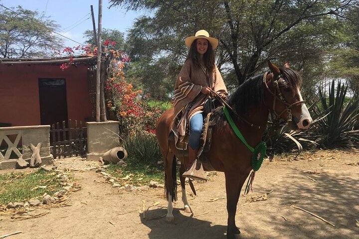 4-Hours Horse riding, Inca pyramids in world's largest dry forest