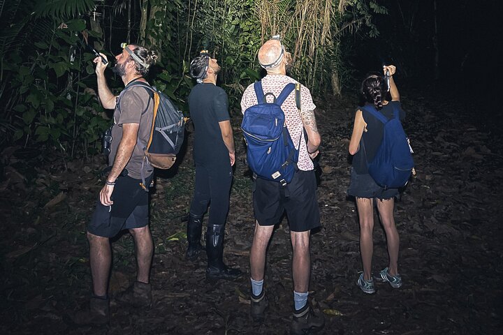 Secret Night Walk in Puerto Jimenez
