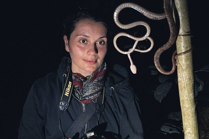 Secret Night Walk in Puerto Jimenez