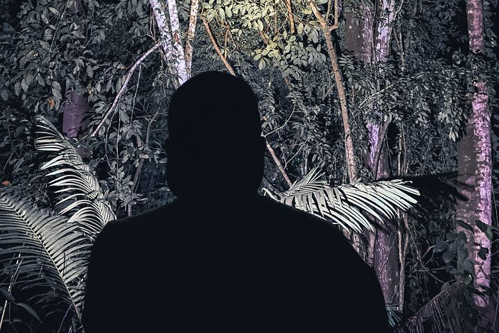 Secret Night Walk in Puerto Jimenez