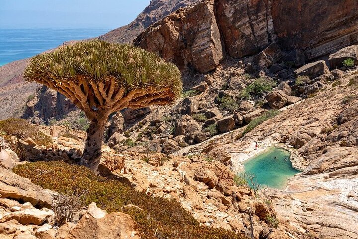 7 Day Private Tour of Socotra Island - Adventure of a Lifetime
