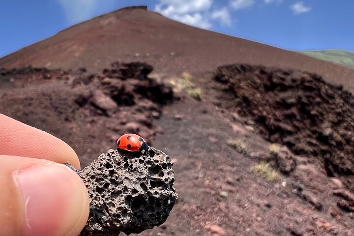 Etna Morning Tour from Catania