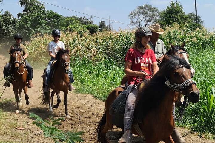 4-Hours Horse riding, Inca pyramids in world's largest dry forest