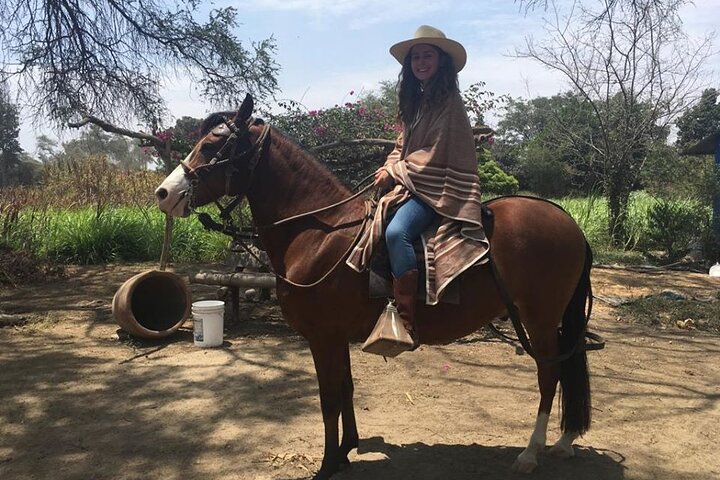 4-Hours Horse riding, Inca pyramids in world's largest dry forest