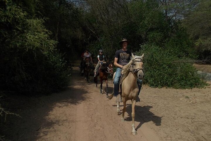 4-Hours Horse riding, Inca pyramids in world's largest dry forest