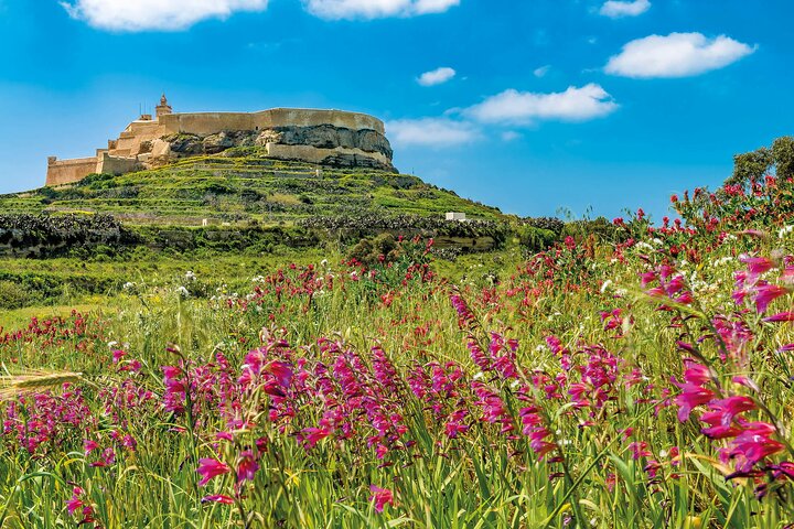 Gozo Full-Day Group Coach Tour including Lunch and Transfers