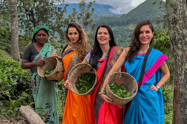 Halpewatte Tea Plantation Tour in Ella, Sri Lanka