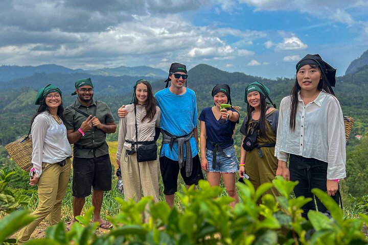 Halpewatte Tea Plantation Tour in Ella, Sri Lanka