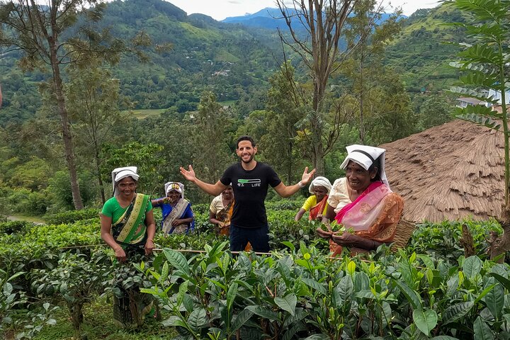Halpewatte Tea Plantation Tour in Ella, Sri Lanka