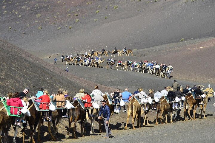 Timanfaya Park & Camel Ride (extra cost) - Short South Tour