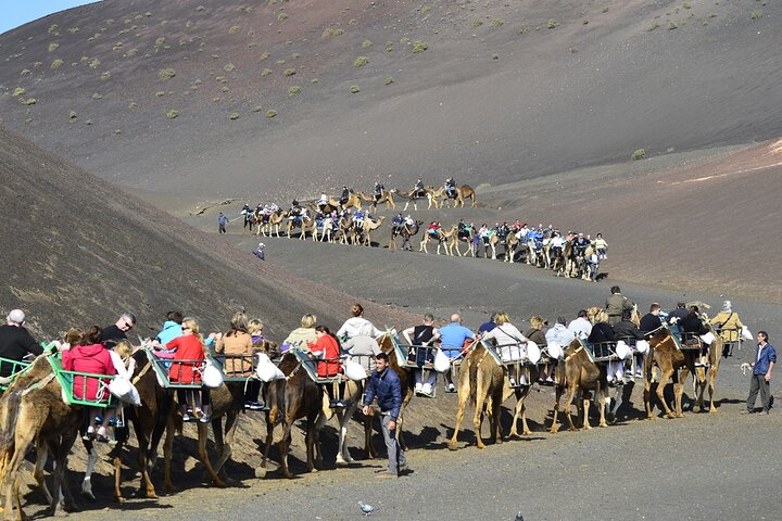 Timanfaya, Golfo, La Geria & Camel Ride (opt) - South Lanzarote