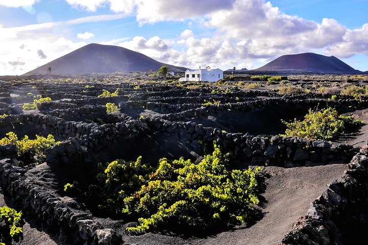 Timanfaya, Golfo, La Geria & Camel Ride (opt) - South Lanzarote