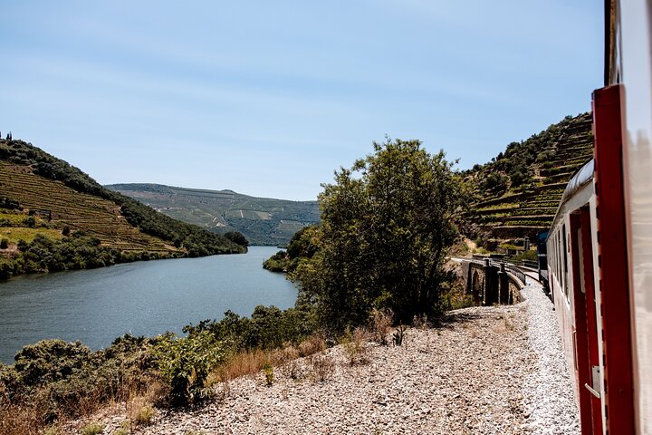 Porto - Douro Valley: Boat, Train, Wine Tasting & Lunch Included