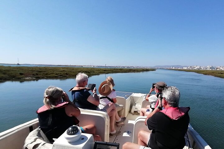 Eco Boat Tour in the Ria Formosa Lagoon from Faro