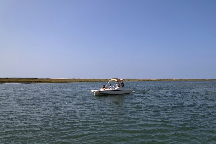 Eco Boat Tour in the Ria Formosa Lagoon from Faro