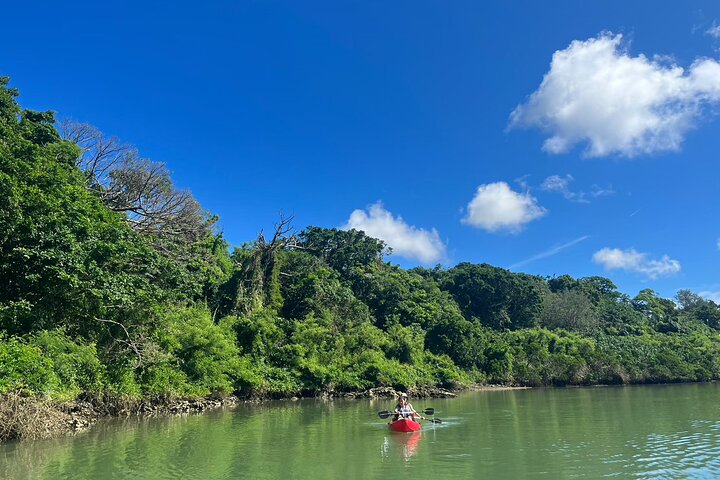 Mangrove Kayak & Sea Fishing Experience in Okinawa