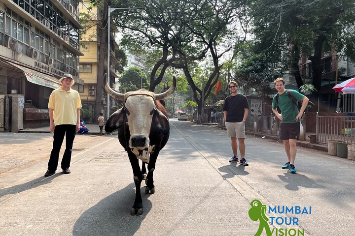 Private Mumbai City Tour with Guide and Transport