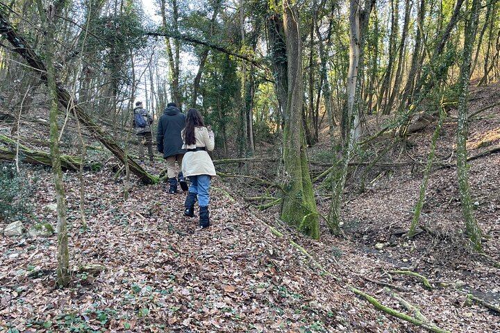 Truffle Hunting in Chianti, pasta class and lunch
