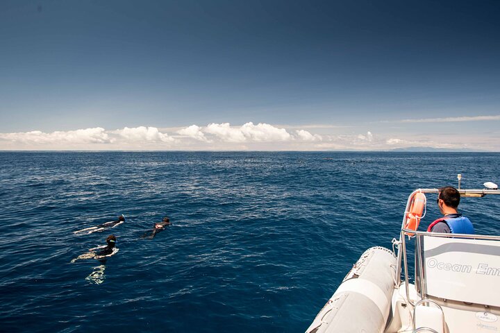 Terceira Island: Snorkeling Wildlife | Protected Areas