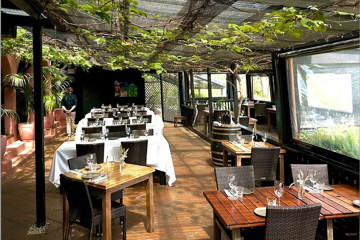 Waiheke island wine tours with Waitiki Tours